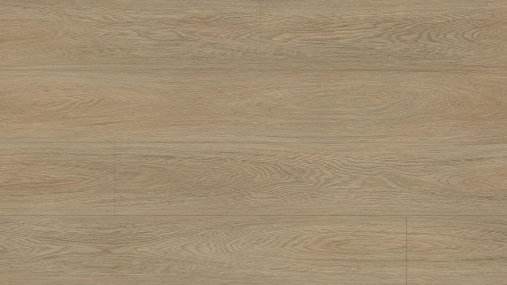 Edition Taupe