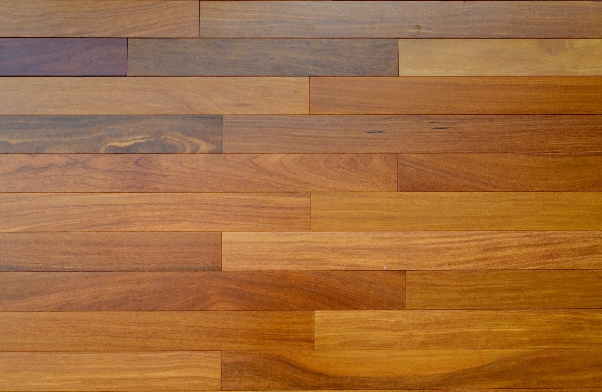 Brazilian Teak Cumaru